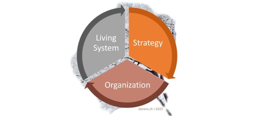 How to create Sustainable Transformation that truly lives