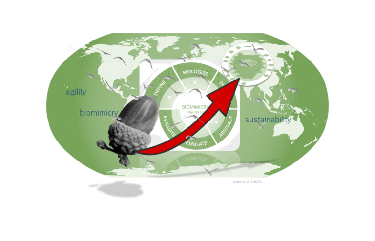 🌱 Biomimicry for a sustainable agile organisation