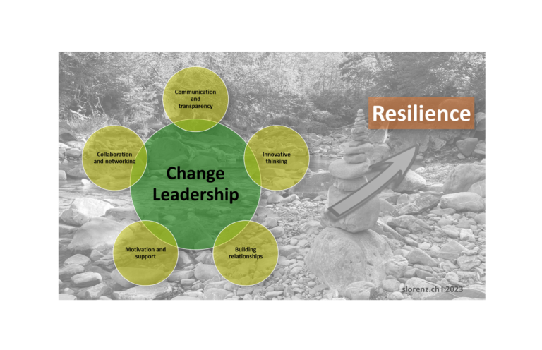 💠 Change leadership for more resilience