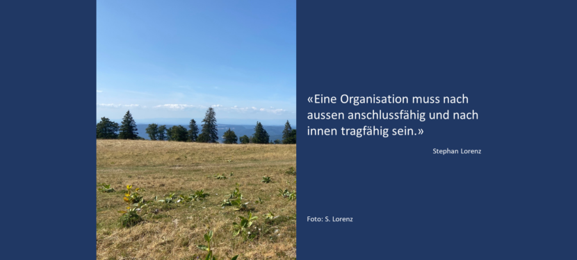 Was ich beim Aufbau einer pharmazeutischen Organisation auf der grünen Wiese gelernt habe